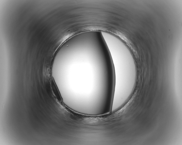 X0000087061185200704180930