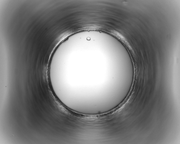 X0000087061186200704180930