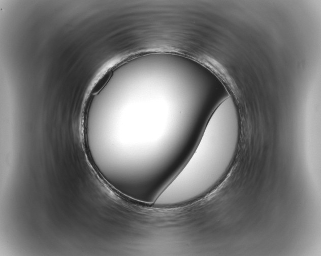 X0000087061188200704180930