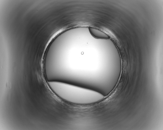 X0000087061190200704180930