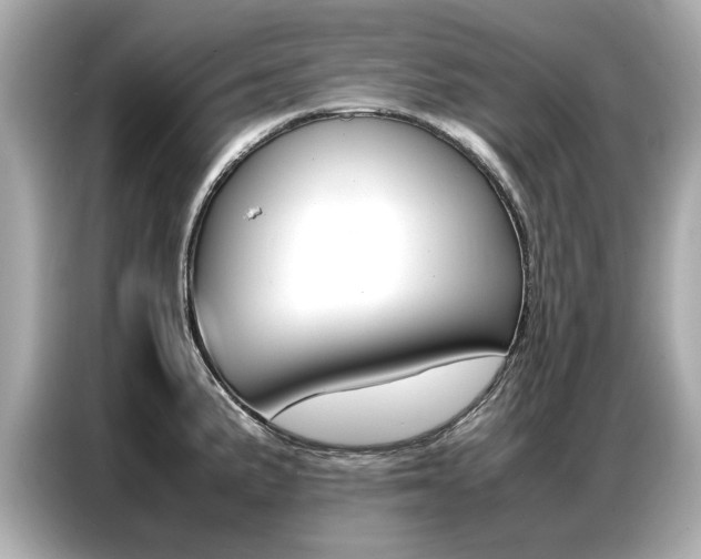X0000087061191200704180930