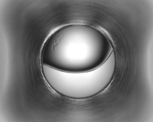 X0000087061192200704180930