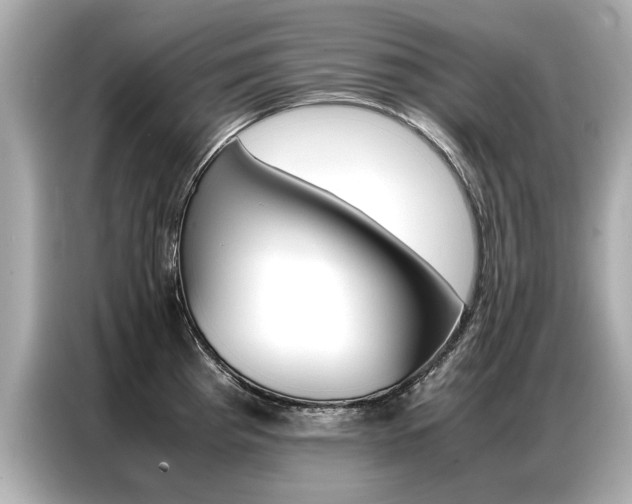 X0000087061193200704180930