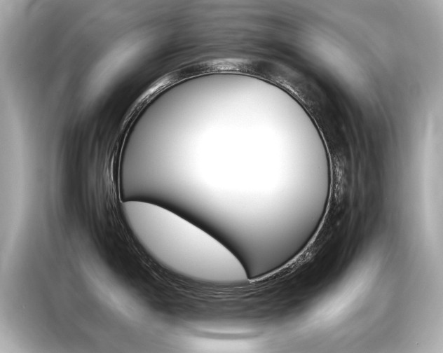 X0000087061198200704180930