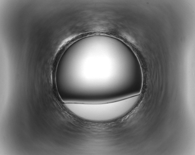 X0000087061214200704180930