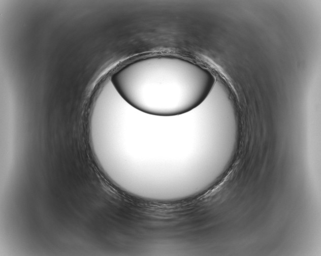 X0000087061215200704180930