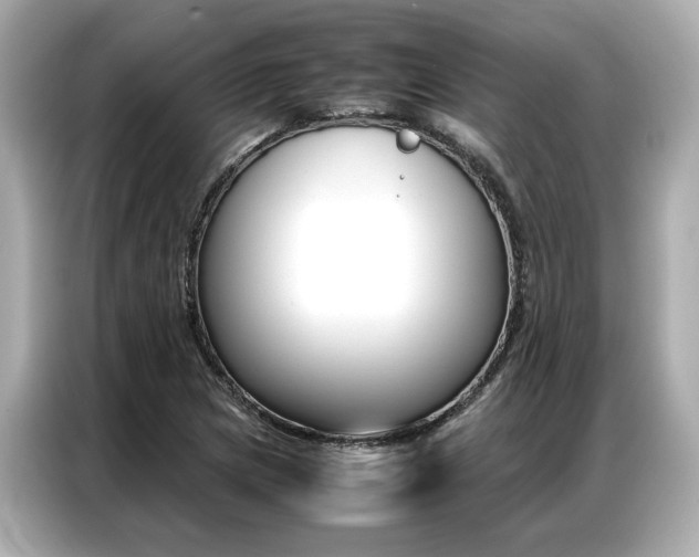 X0000087061217200704180930