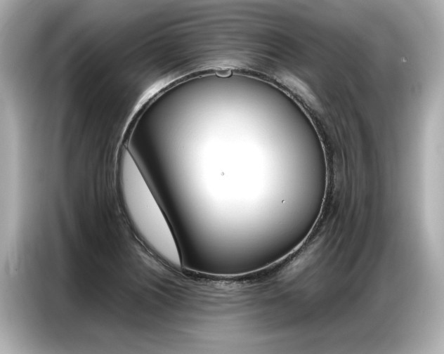 X0000087061226200704180930