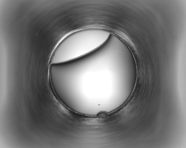 X0000087061228200704180930