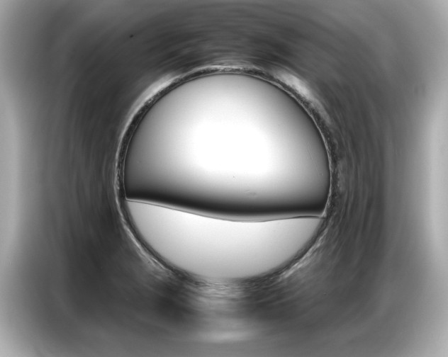X0000087061229200704180930