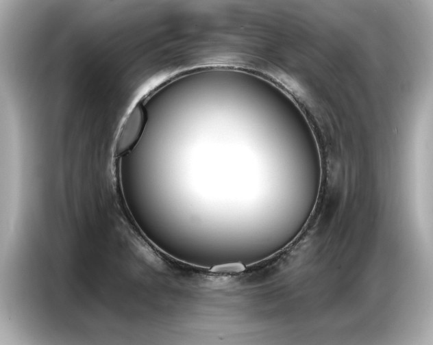 X0000087061230200704180930