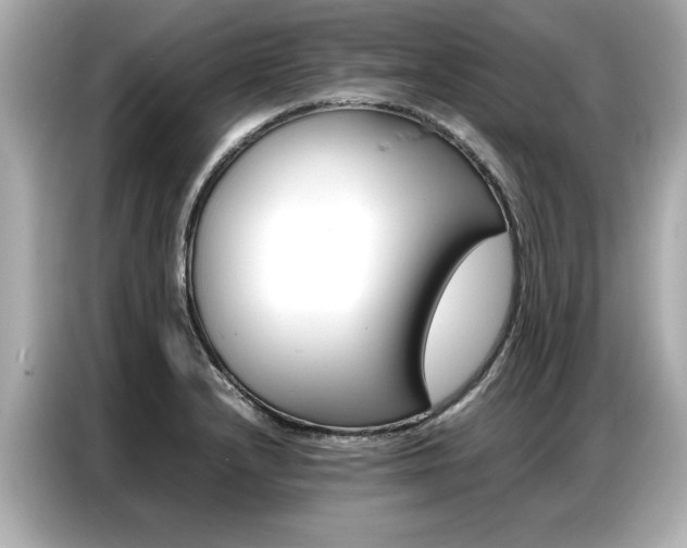 X0000087061232200704180930