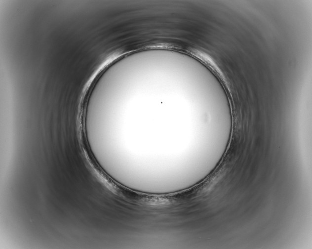 X0000087061235200704180930