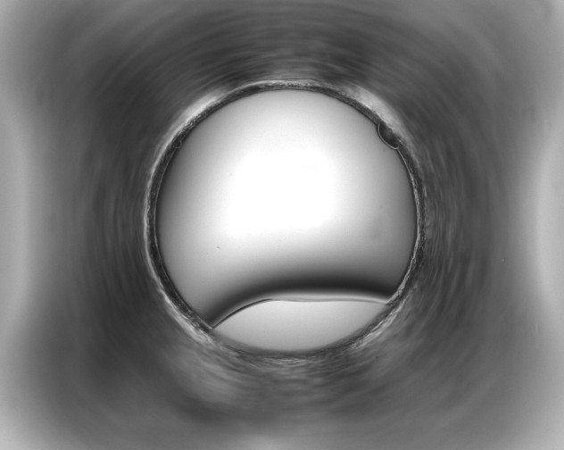 X0000087061237200704180930