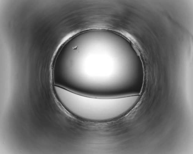 X0000087061238200704180930