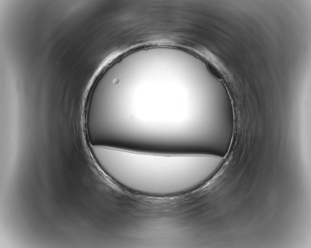 X0000087061240200704180930