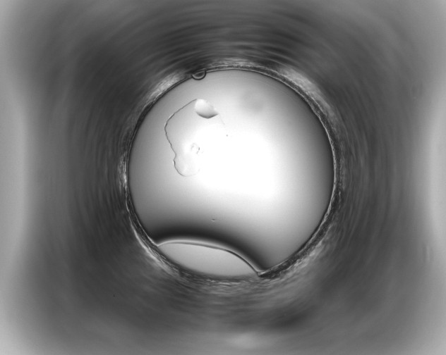 X0000087061241200704180930