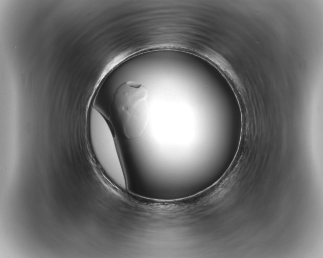 X0000087061242200704180930