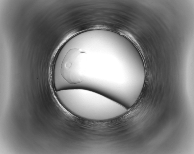 X0000087061243200704180930