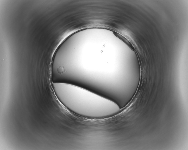 X0000087061244200704180930
