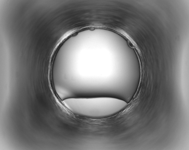 X0000087061245200704180930