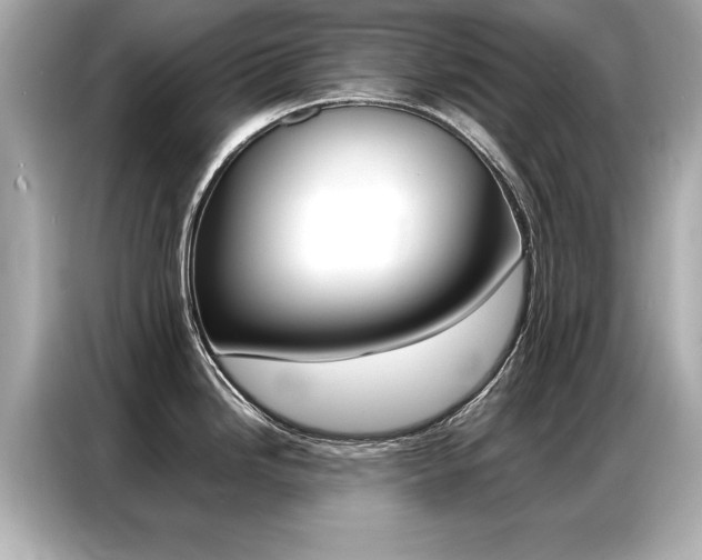 X0000087061246200704180930