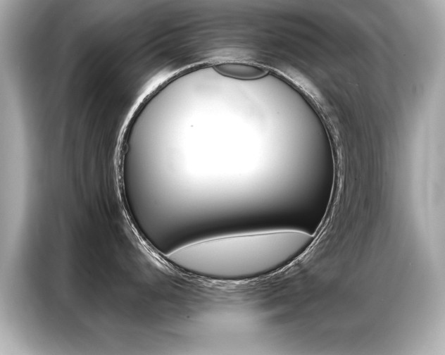 X0000087061248200704180930