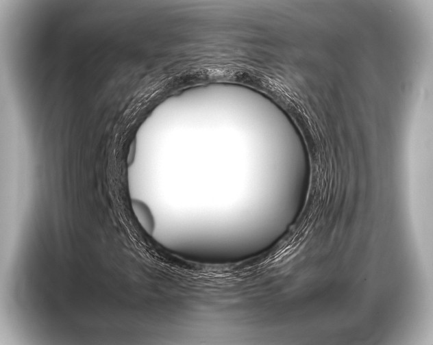 X0000087061249200704180930