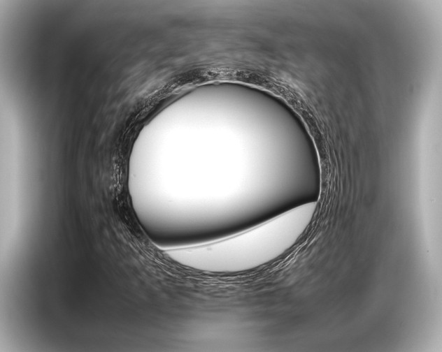X0000087061253200704180930