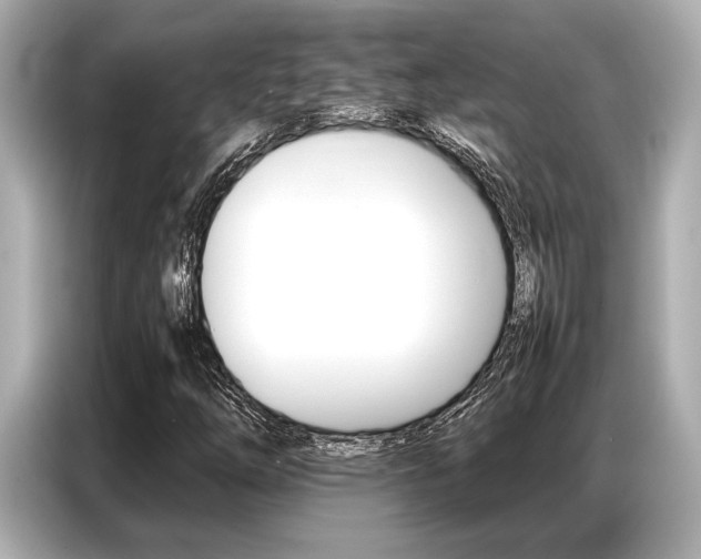 X0000087061254200704180930