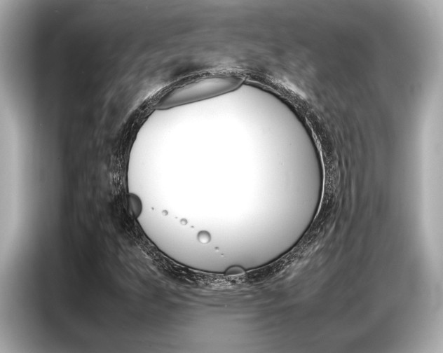 X0000087061255200704180930