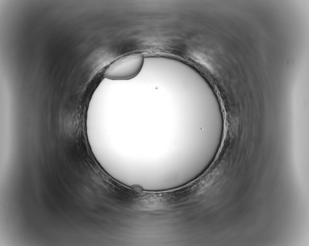 X0000087061259200704180929