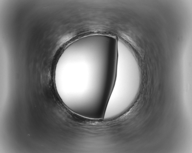 X0000087061261200704180929