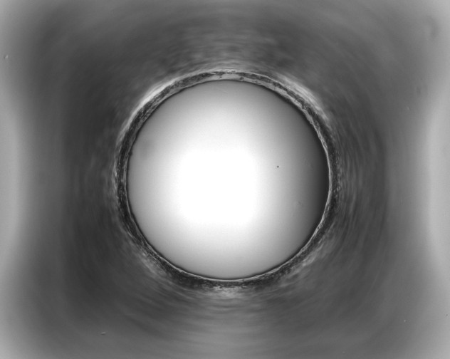 X0000087061264200704180929