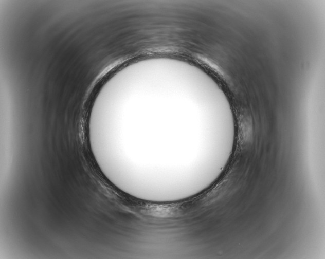 X0000087061266200704180929