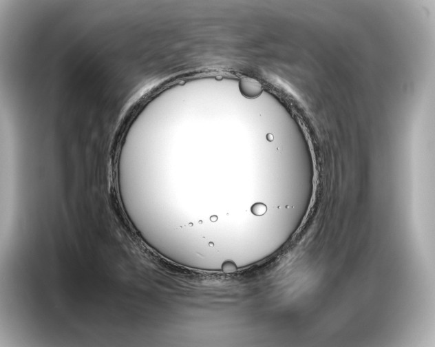 X0000087061267200704180929