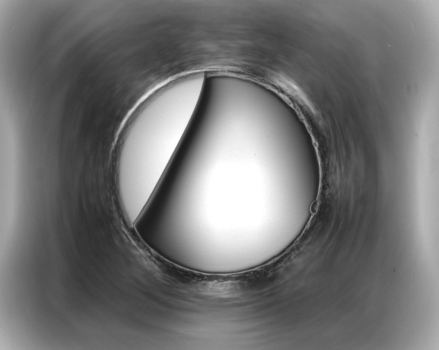X0000087061268200704180929