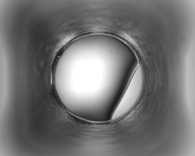 X0000087061269200704180929