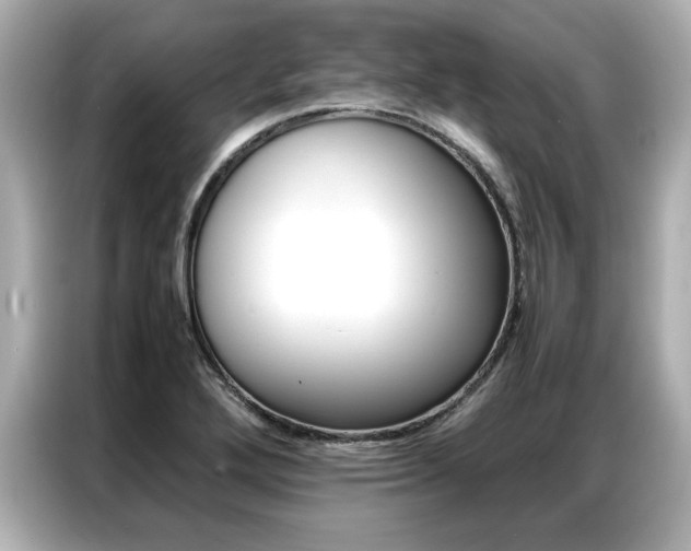 X0000087061272200704180929