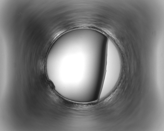 X0000087061273200704180929