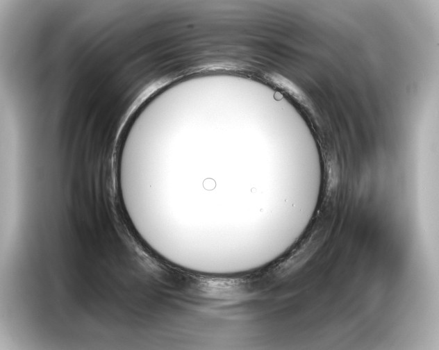 X0000087061274200704180929