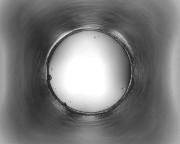 X0000087061276200704180929