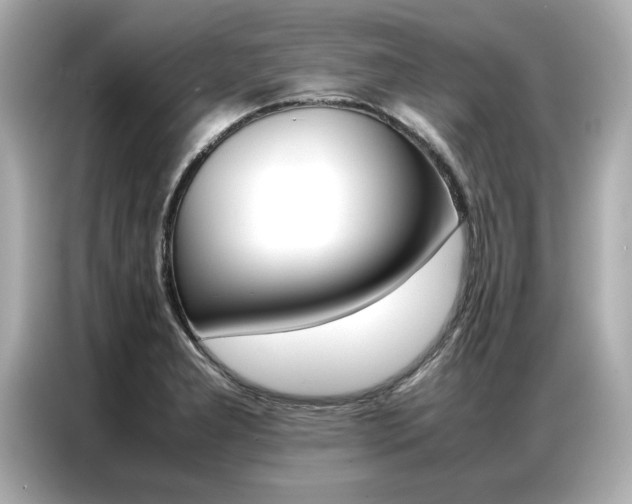 X0000087061277200704180929