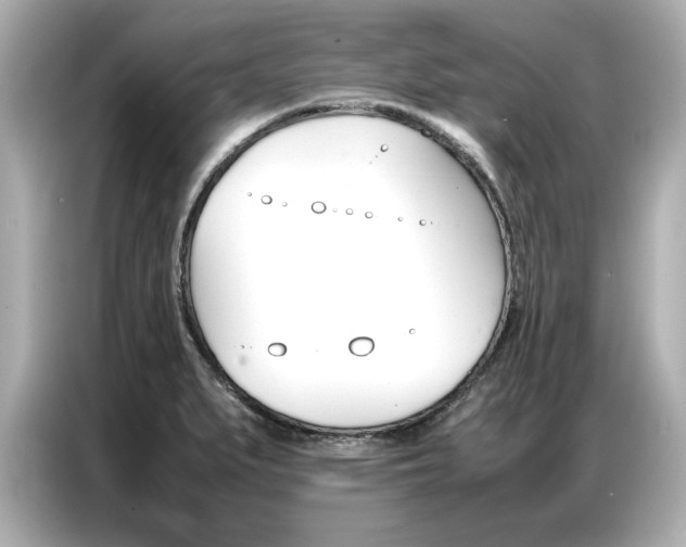 X0000087061279200704180929