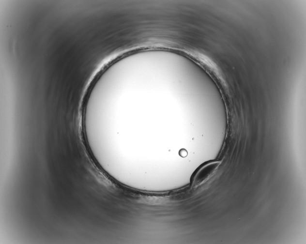 X0000087061280200704180929
