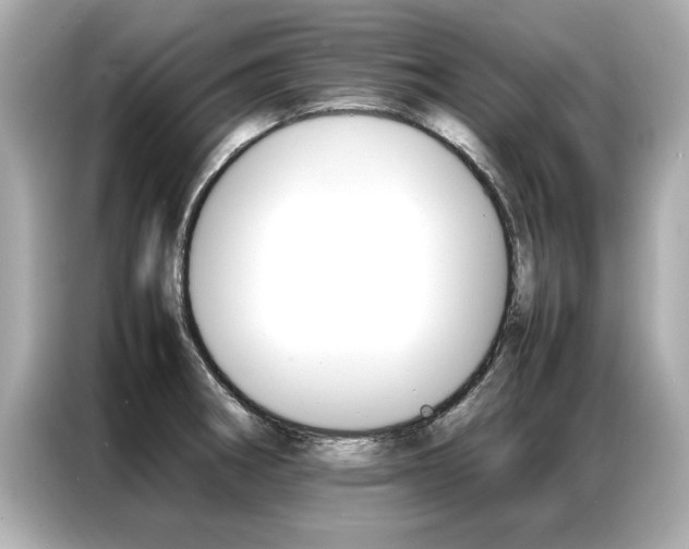 X0000087061282200704180929