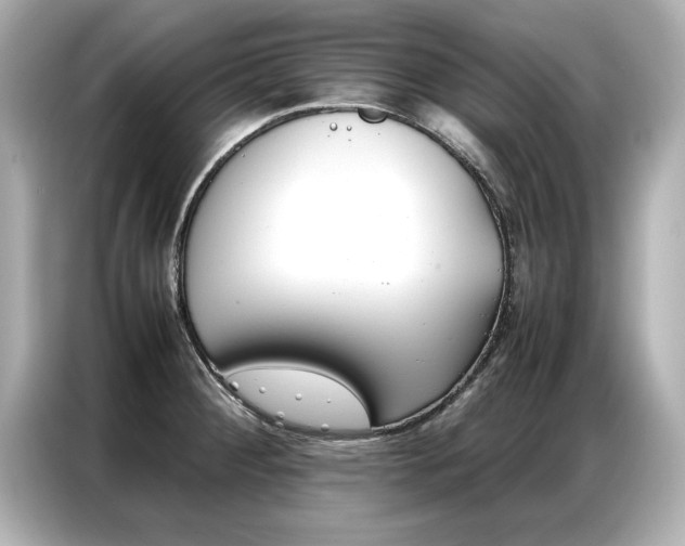 X0000087061284200704180929