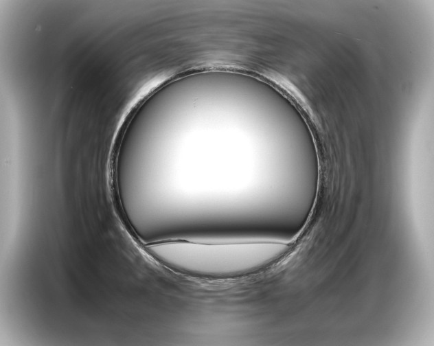 X0000087061285200704180929