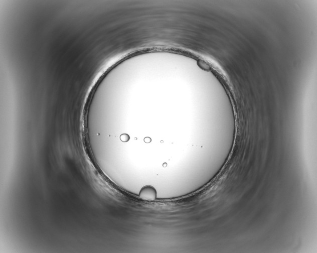 X0000087061287200704180929