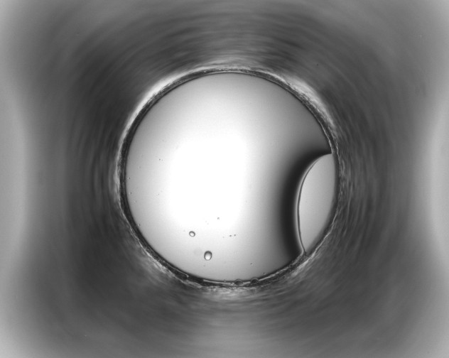 X0000087061288200704180929
